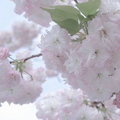 兽设黎明场景绘制FurryQQ群